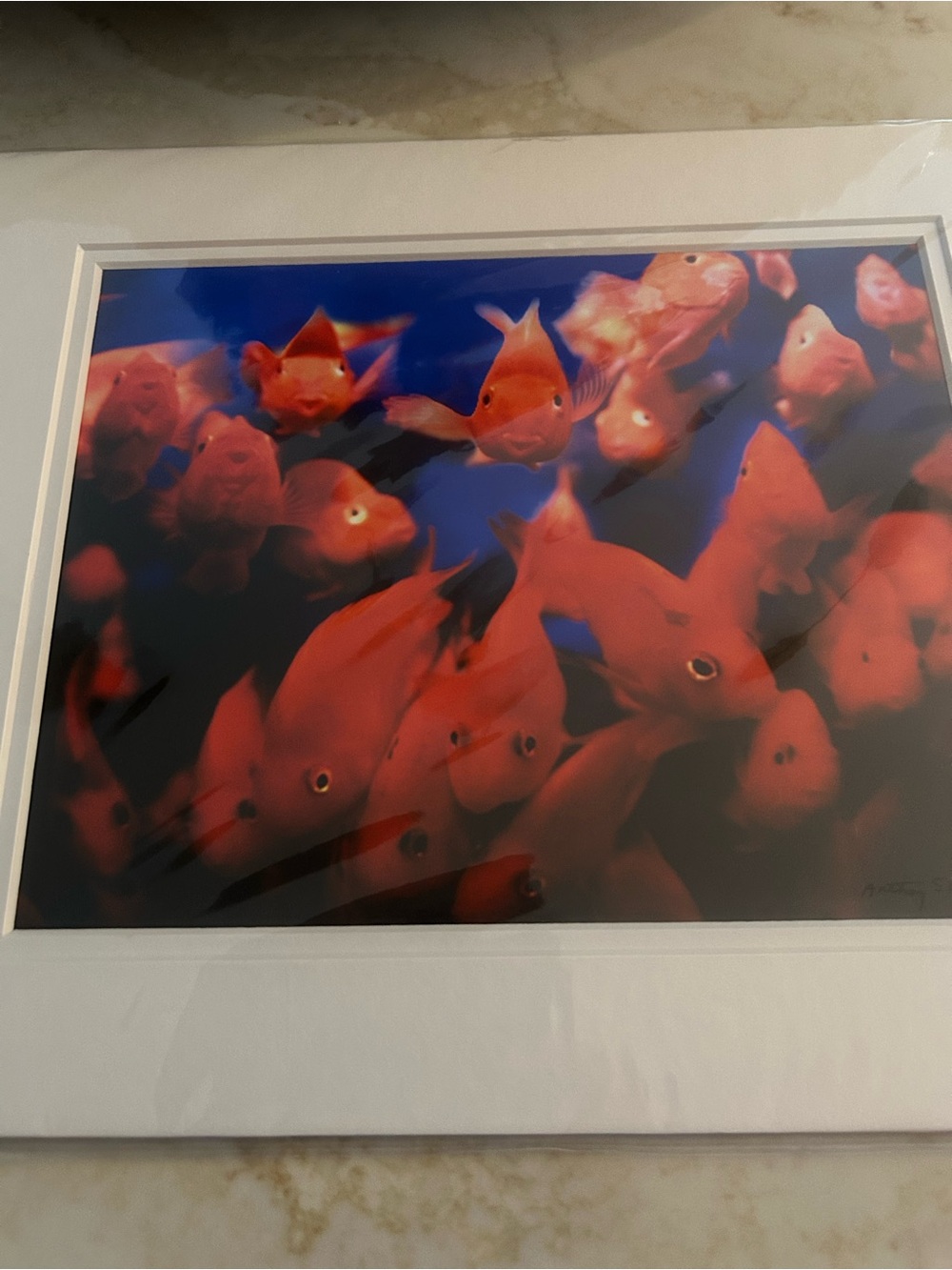 Goldfish Art Print Wall Decor - Framed Aquarium Scene